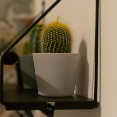 R-home Exclusive Konukevi